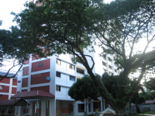 Blk 549 Ang Mo Kio Avenue 10 (Ang Mo Kio), HDB 4 Rooms #43832